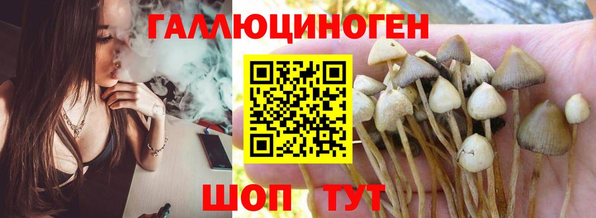 Псилоцибиновые грибы прущие грибы Сланцы