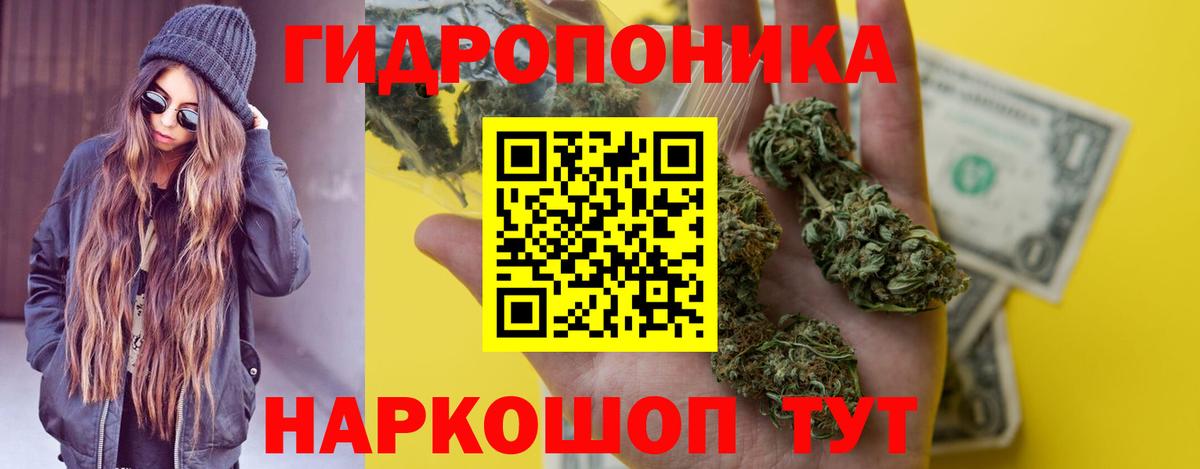 Марихуана планчик Сланцы